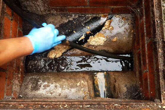 desentupidora thunder sp