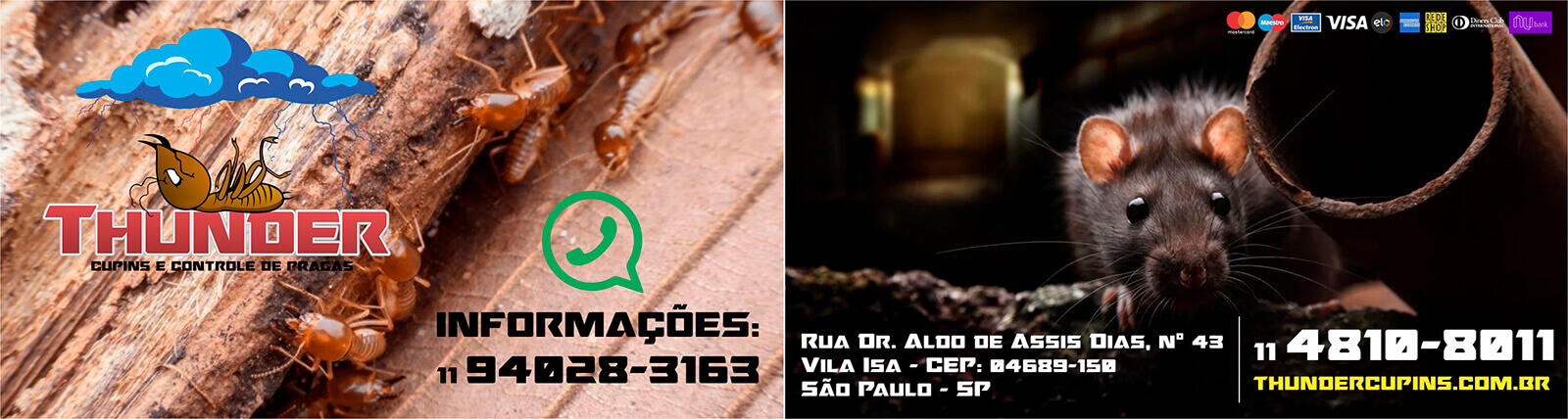 dedetizadora thunder